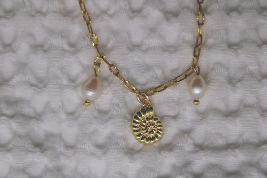 Dainty Shell Charm Cositasbella Jewelry